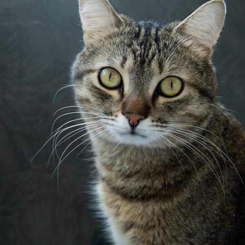 Photo #14025890