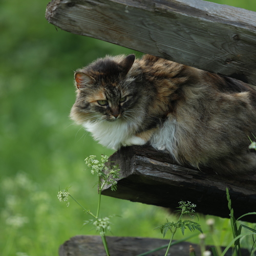 Photo #14025894