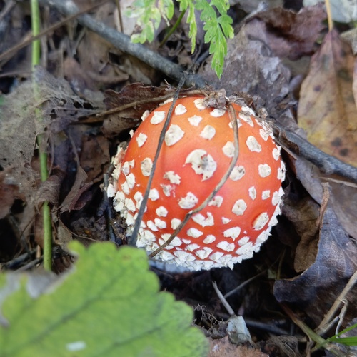 Photo #14025922