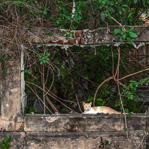 Photo #14025997