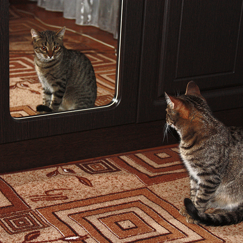 Photo #14026178