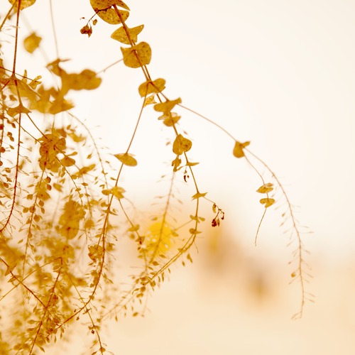Photo #14026206