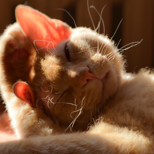 Photo #14026241