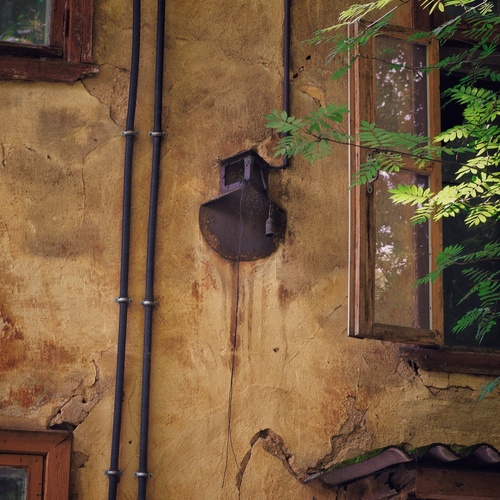 Photo #14026292