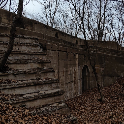 Photo #14026308