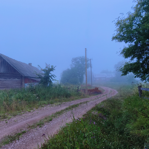 Photo #14026315