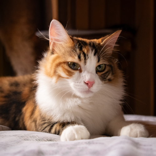 Photo #14026353