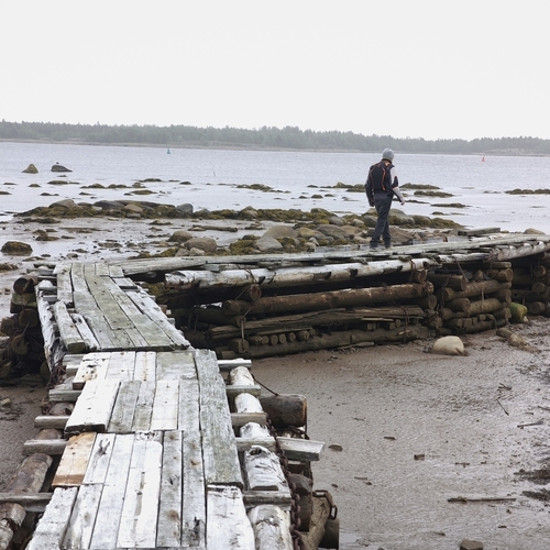 Photo #14026396