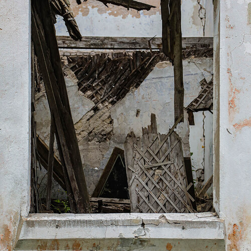 Photo #14026446
