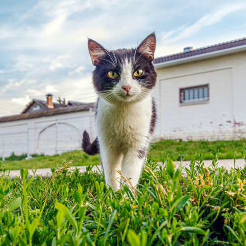 Photo #14026457