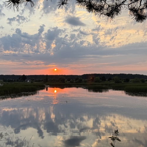 Photo #14026534