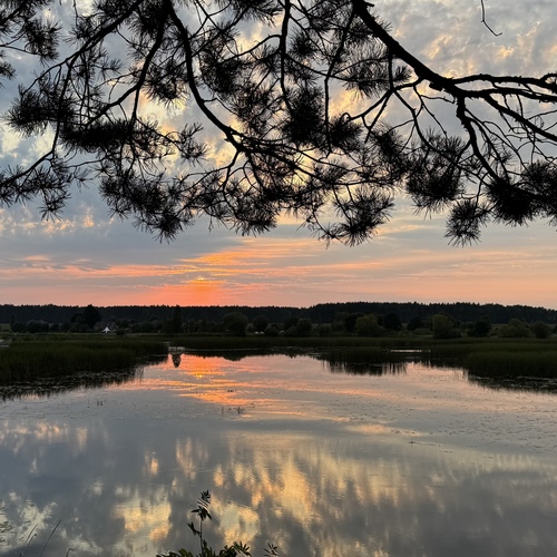 Photo #14026535