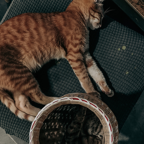 Photo #14026564