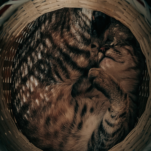 Photo #14026567