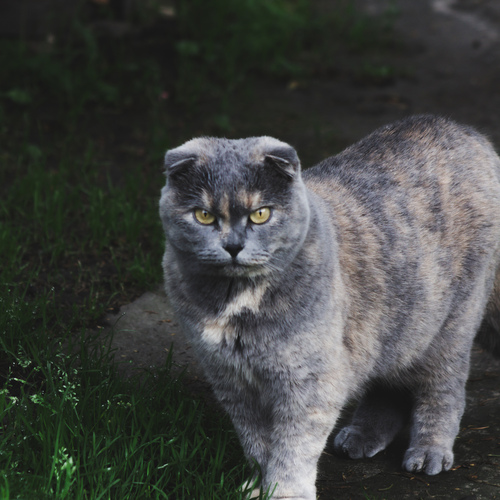 Photo #14026616