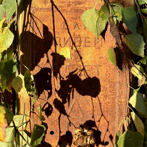 Photo #14026619