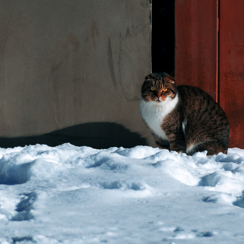 Photo #14026642