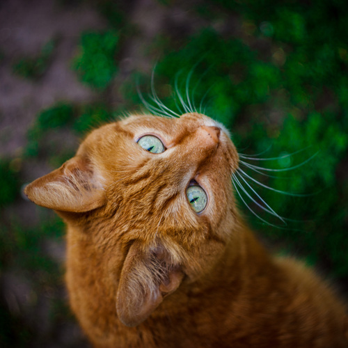 Photo #14026644