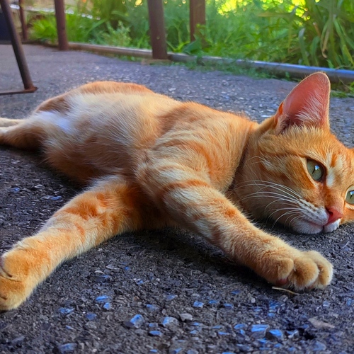 Photo #14026656