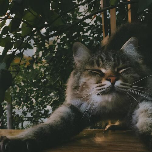 Photo #14026672