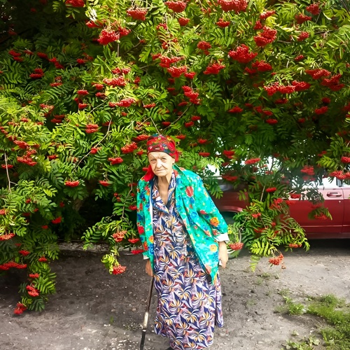 Photo #14026718