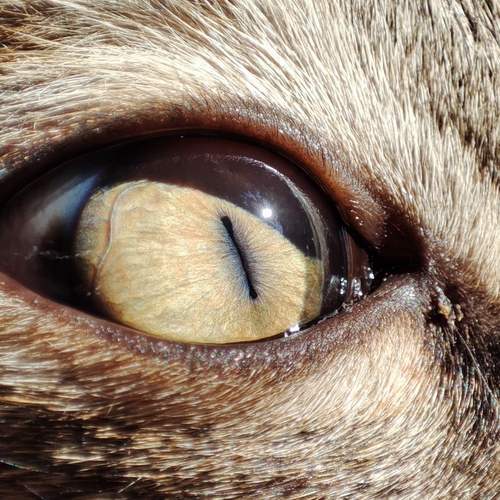 Photo #14026744