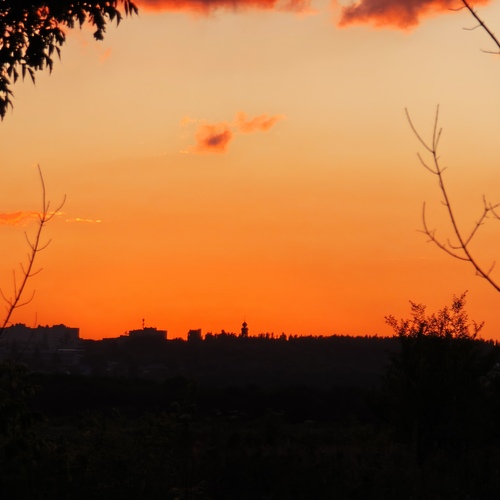 Photo #14026746