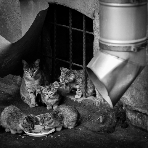 Photo #14026755
