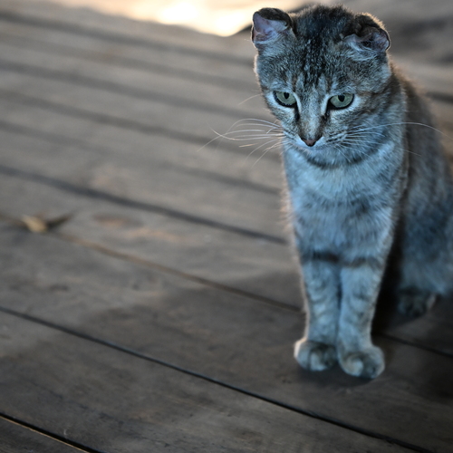 Photo #14026784