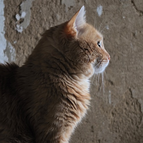 Photo #14026823