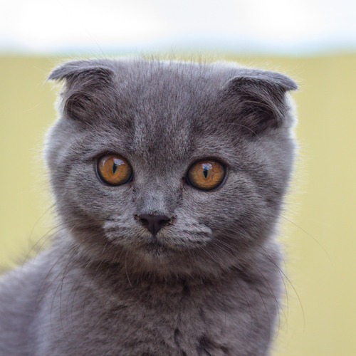 Photo #14026828