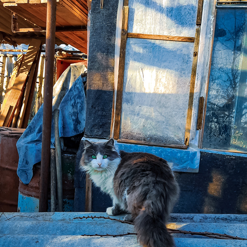 Photo #14026844