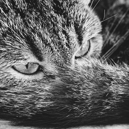 Photo #14026846