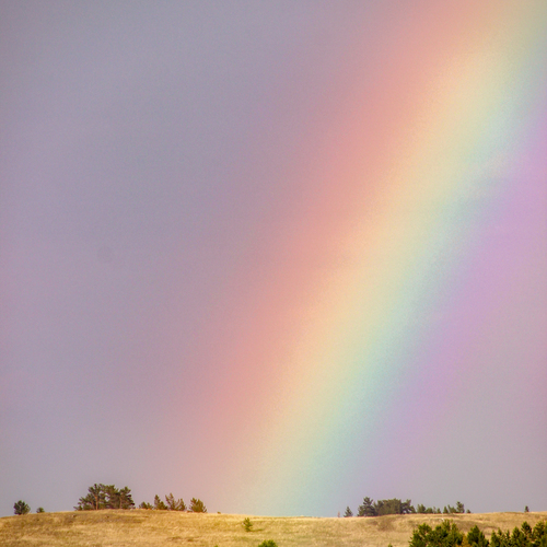 Photo #14026891