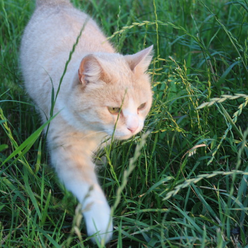 Photo #14026997