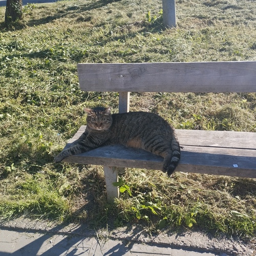 Photo #14027035