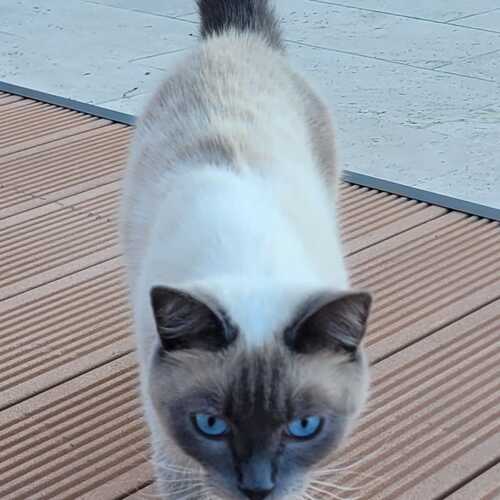 Photo #14027111