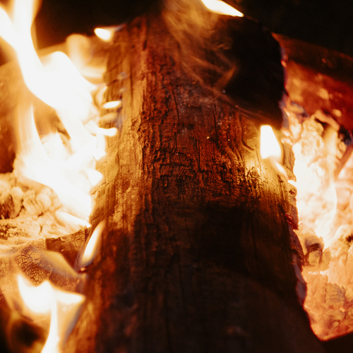 Photo #14027256