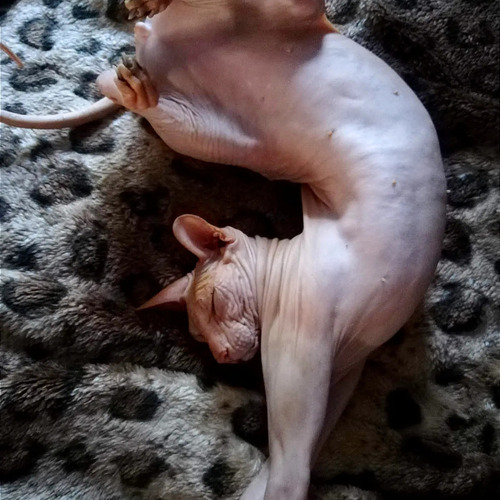 Photo #14027286
