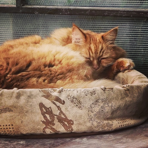 Photo #14027294