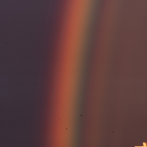 Photo #14027304