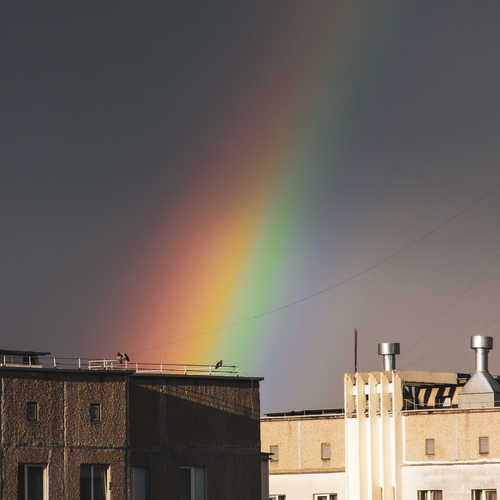 Photo #14027325
