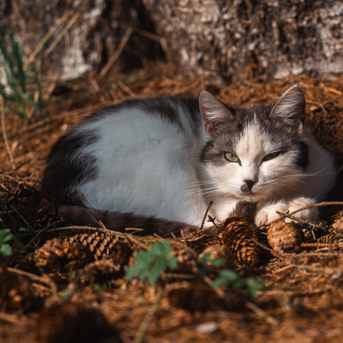 Photo #14027385