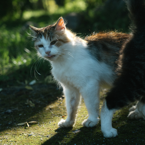 Photo #14027387