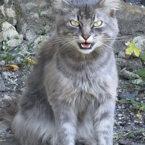 Photo #14027418