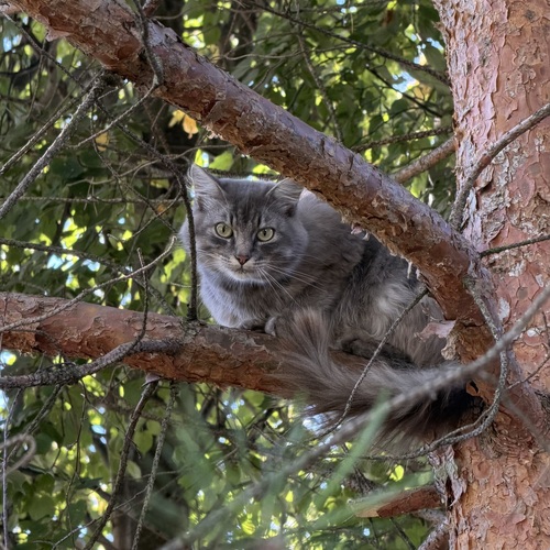 Photo #14027419