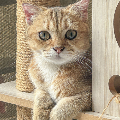 Photo #14027447