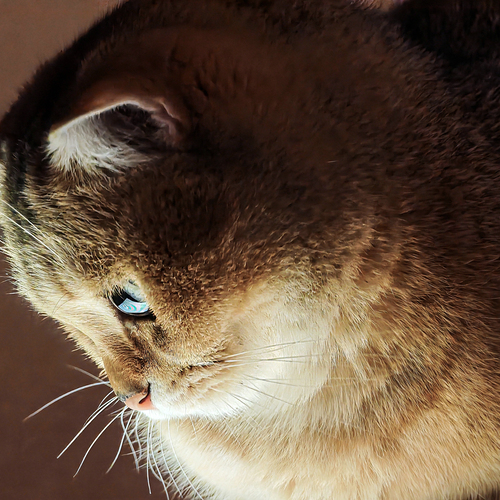 Photo #14027458