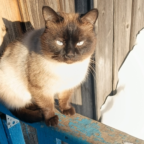 Photo #14027467