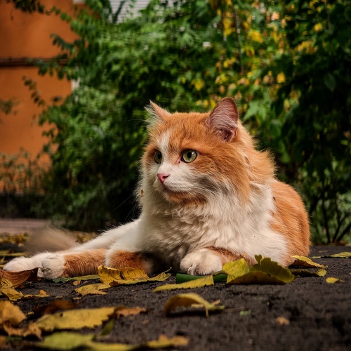 Photo #14027478